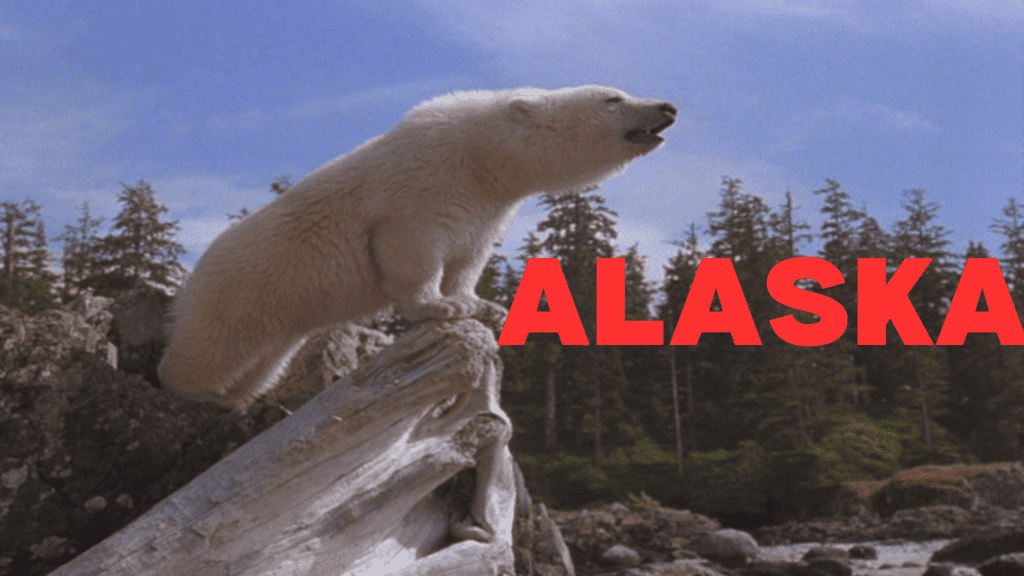 Watch Alaska